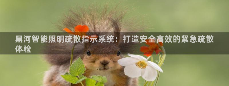 云顶国际商务会所电话