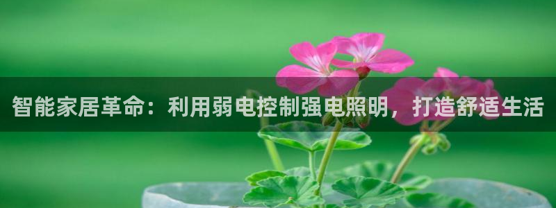 云顶集团下载app