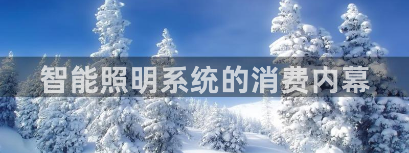 云顶国际高中d s e班学费多少
