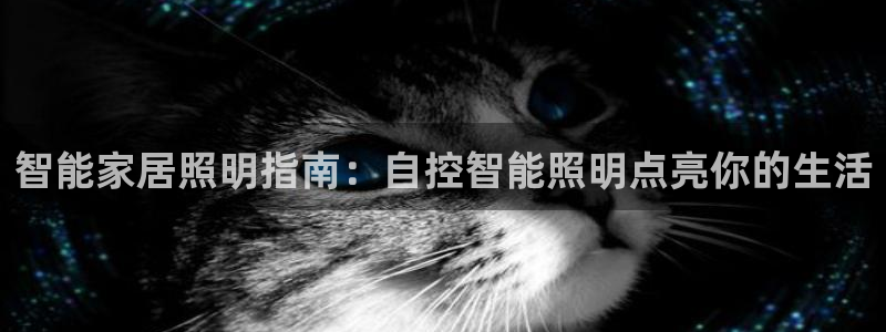 云顶国际下载