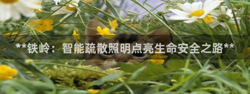 云顶国际网站