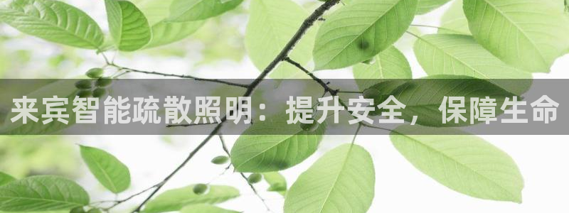 云顶最新调整