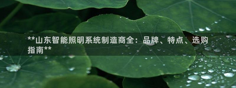 云顶国际版手游