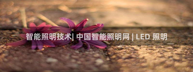 yd2333云顶
