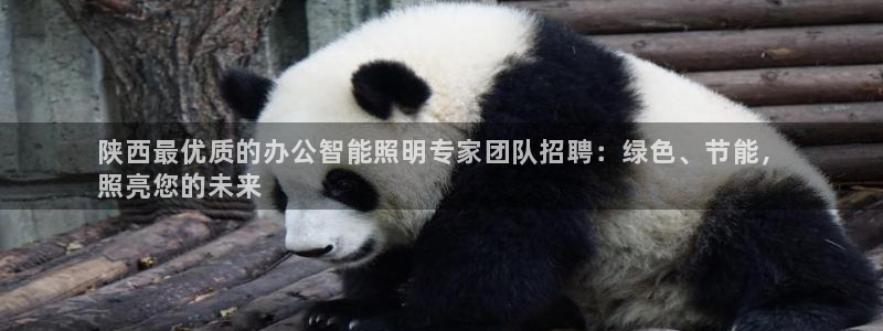 云顶集团官网电话号码