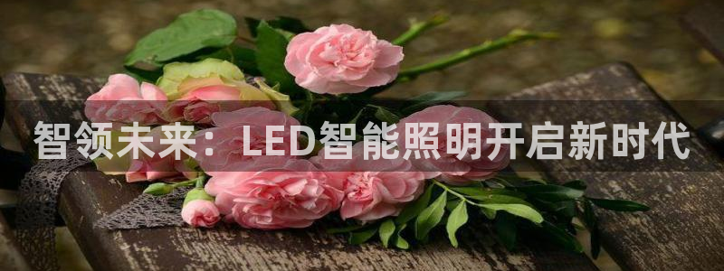 云顶国际物流官网网址