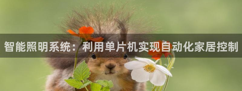 云顶国际服什么时候更新s108