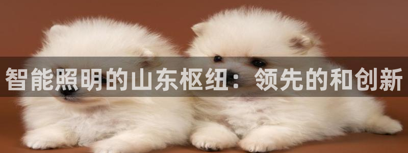 云顶国际服s9赛季什么时候出的