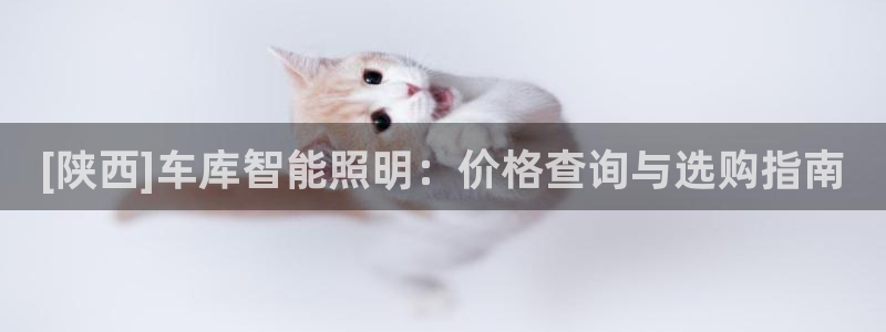 云顶国际网站是多少