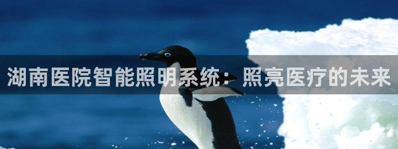 云顶国际体育官方网站