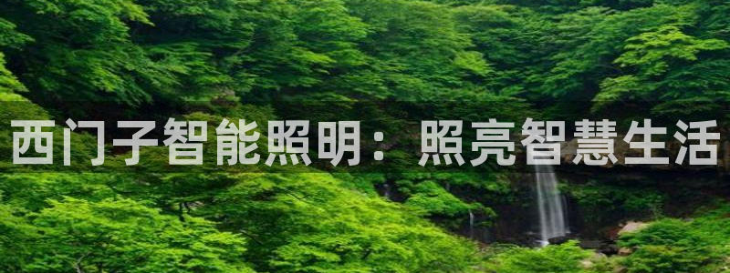 云顶国际黑款