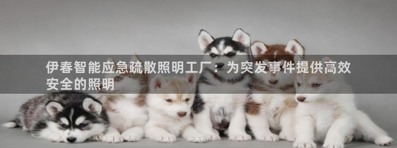 云顶集团董事长林东简历图片