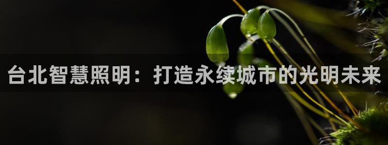 云顶国际app免费下载安装