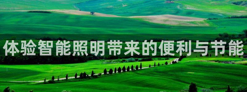 云顶国际在线购彩