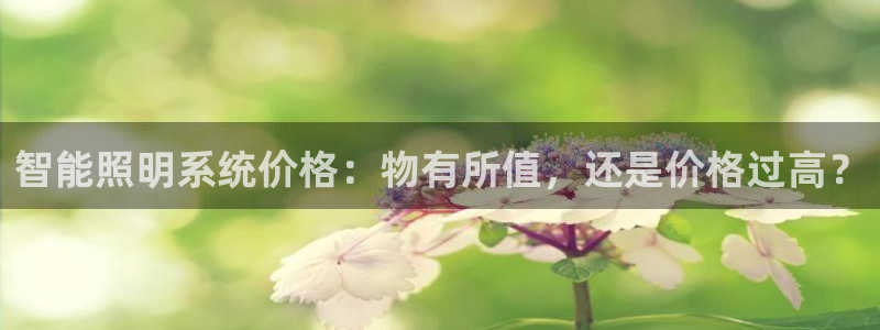 云顶dj