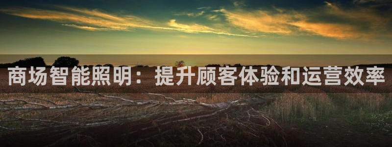 云顶集团老总