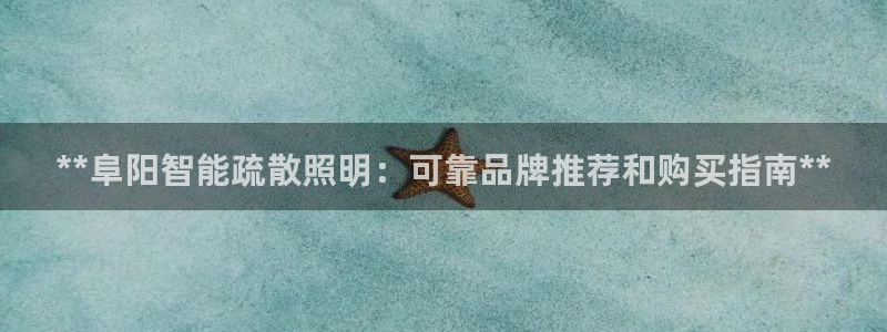 云顶国际服s11