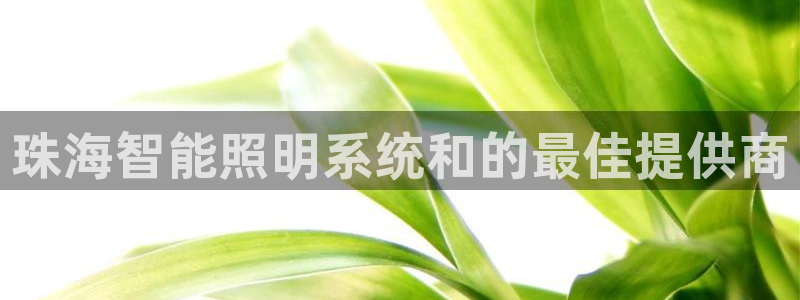 云顶国际服怎么下