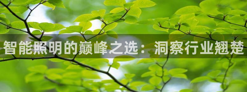 云顶国际公馆怎么样