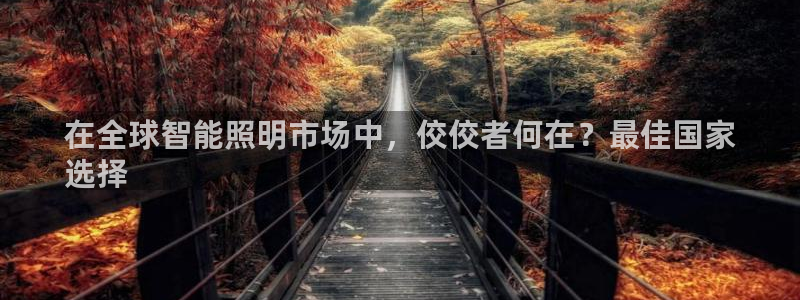 云顶集团游戏入口