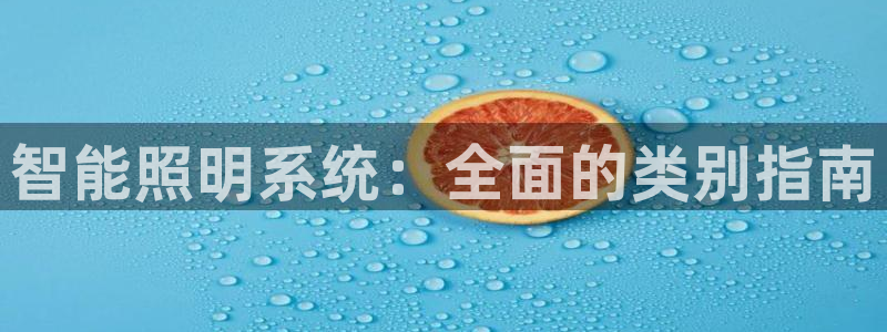 云顶国际旅行社官网