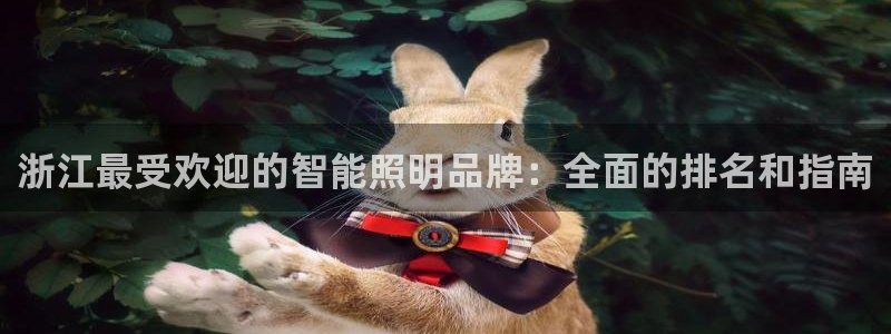 云顶国际服跨区数据