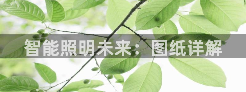 云顶国际官方网页