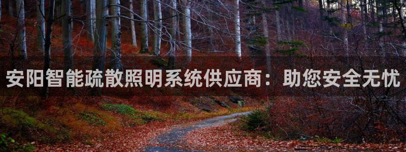 云顶国际集团 深圳