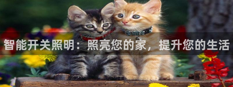 云顶国际广场