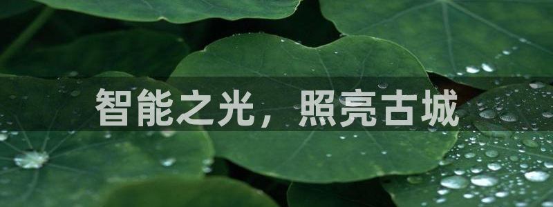 云顶集团网站app下载安装