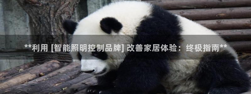 云顶网站官网
