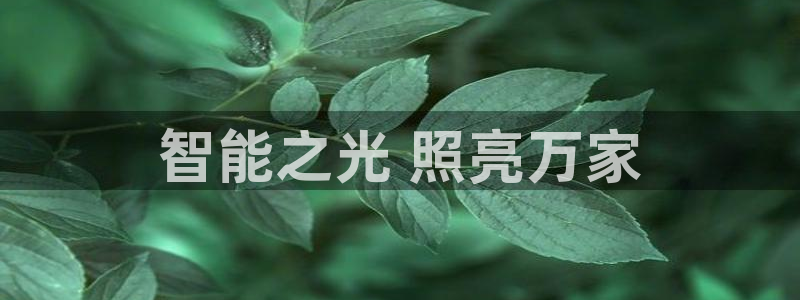 云顶国际提款不到账什么原因