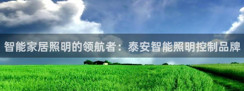 云顶国际旅行社