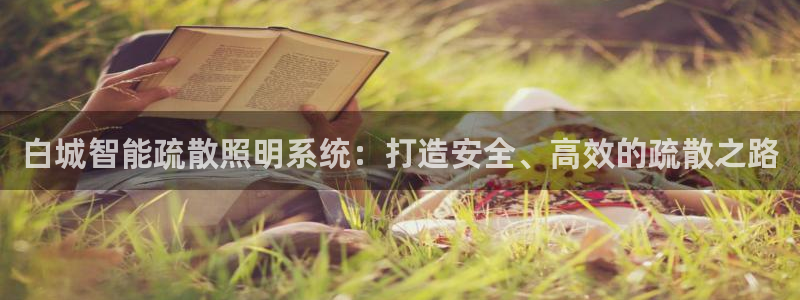 云顶集团老总简介