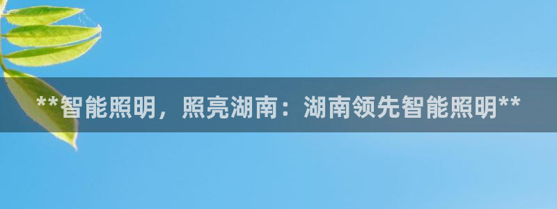 云顶集团简介资料