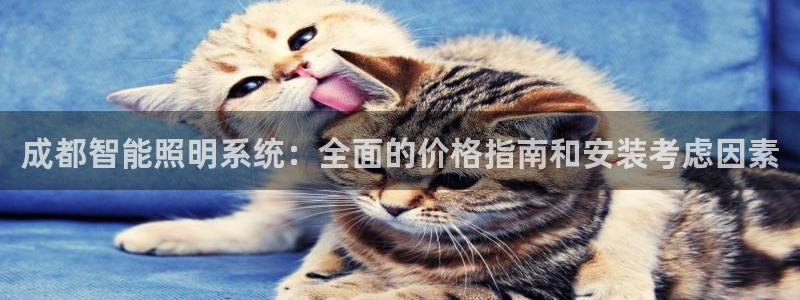 云顶国际前台电话