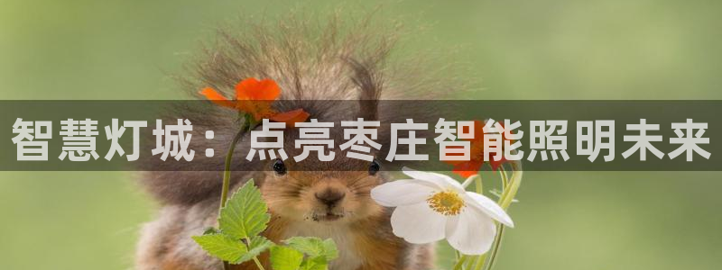 云顶国际软装公司怎么样啊