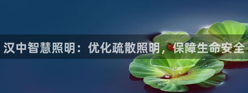 云顶国际酒店老板叫什么