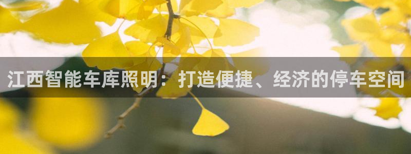 云顶国际游戏网址是什么