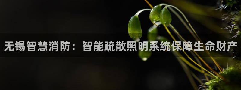 云顶国际网站能玩吗