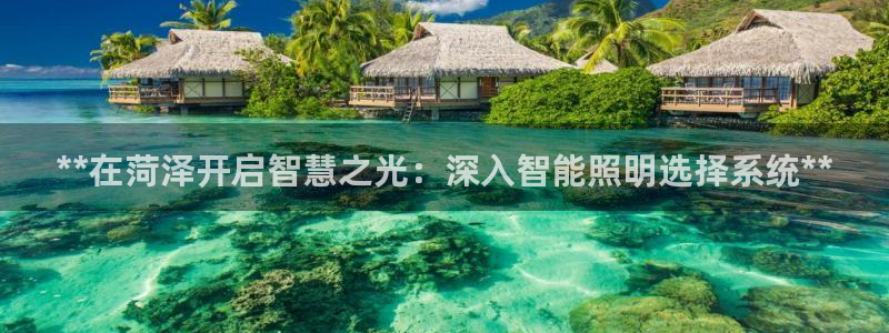 云顶yd官网2021