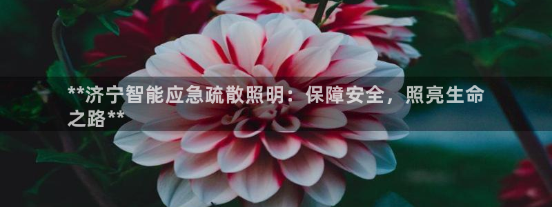 云顶国际大酒店的位置图
