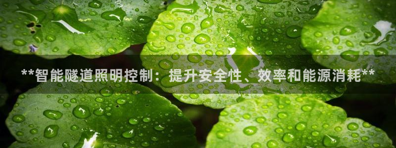 云顶高中国际部学费
