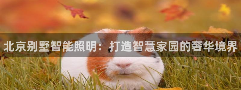 云顶国际商业广场 荣耀