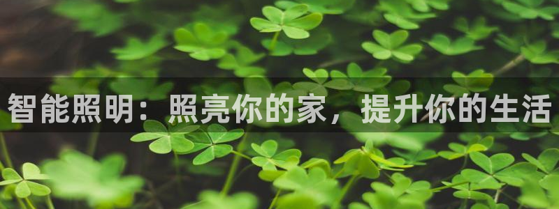 云顶国际装饰设计招聘