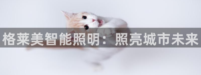 云顶电子游戏平台