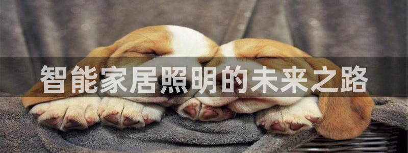 云顶t00