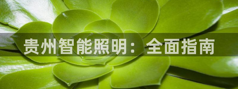 云顶国际电子游戏官网