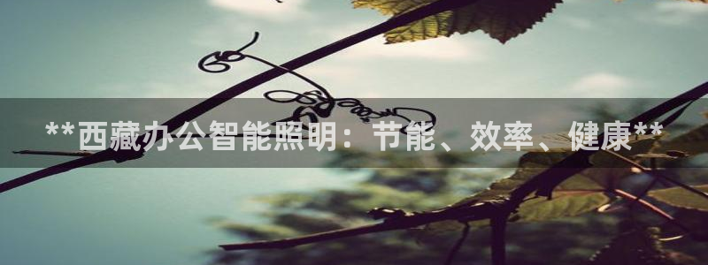 云顶国际太原店