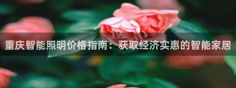 云顶国际AB网